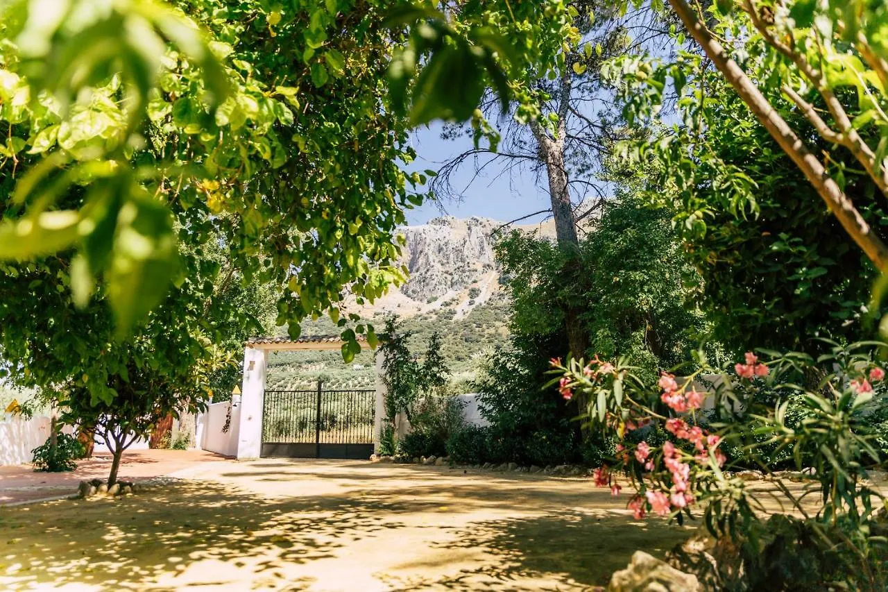 Cortijo Abril Villa Priego De Cordoba
